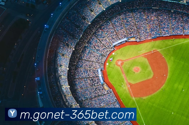 365bet平台生态图